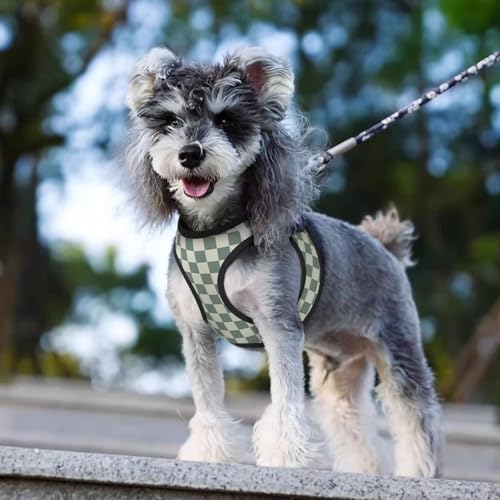Green Checkerboard Dog Harness and Leash Set, No Pull Reflective Adjustable Soft Mesh Padded Pet Vest with Safety Buckle for Small Medium Dogs and Cats Medium - color: Green Checkerboard, size: Medium