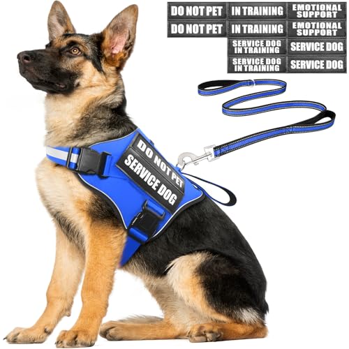 Service Dog Vest Harness and Leash Set+10 Patches,No Pull&Easy Walk Reflective Dog Harness with Soft Padded Handle for Training/Everyday,Fit Small/Medium/Large/Extra-Large Dogs (Blue XL) - color: Blue, size: Extra-large