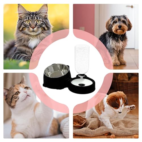 Genérico Set of and Canine Drinker | Pet Feeding Station Anti-Splash Food – for Cats | for Daily Use Outdoor Indoor Travel Pets Storage Water