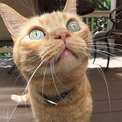 Elasta Cat® Reflective Safety Stretch Collar - color: Black