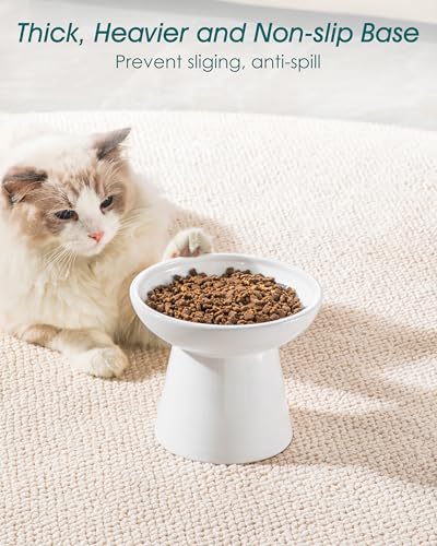 vancasso Elevated Cat Bowls 2-Pack, Ceramic Raised Cat Food and Water Dishes with 5.1" Height & 6.2" Wide Opening - Anti Vomit, Whisker Fatigue Relief for Senior Cats, and Small Dogs (White) - color: White