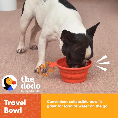 The Dodo Collapsible Dog Bowl, Red; Travel Dog Bowl That Folds Flat and Clips with Carabiner for Easy Storage and Carry - color: Red