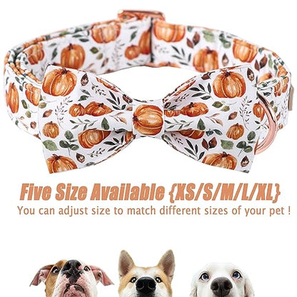 Pumpkin Dog Collar with Bow Tie - Fall Halloween Thansgiving Designer Dog Collars, Adjustable Cotton Metal Buckle Bowtie Collar for Small Medium Large Boy Girl Dogs XS - color: B-White Pumpkin, size: XS