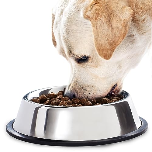 SunGrow No Spill Feeding Bowl for Dogs and Cats, 64 Oz Jumbo Stainless Steel Vessel with Anti-Skid Non-Slip Rubber Base, Rust Resistant