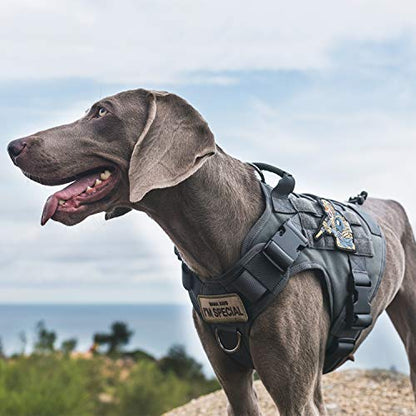 OneTigris Tactical Dog Harness Vest,No-Pull Service Dog Vest with Hook & Loop Panels,Adjustable Dog Vest Harness for Walking Hiking Training(Grey,XXS) - color: Grey, size: XX-Small