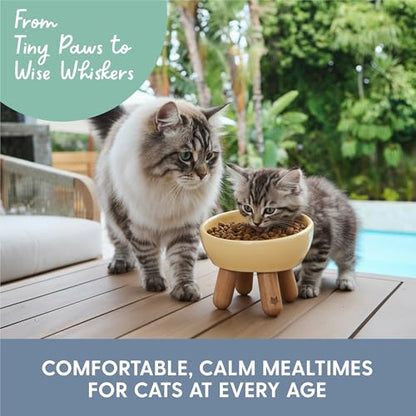 The Cat Ladies Tilted Ceramic Cat Bowl - Elevated Food Bowls Ceramic Pet Bowl - Raised Ceramics Bowls - Elevated & Tilted Design for Comfortable Eating - Dishwasher Safe - Wide Opening - color: Sunshine Yellow