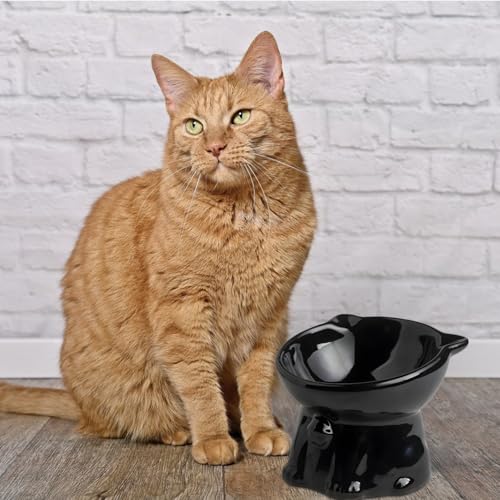 Ceramic Elevated Cats Bowls, 4Pc Extra Wide Raised Cats Bowls, Shallow Whisker Friendly Food & Water Dish, Anti Vomit, Microwave & Dishwasher Safe, 5 oz (Cat Bell 5 X 4.3'')
