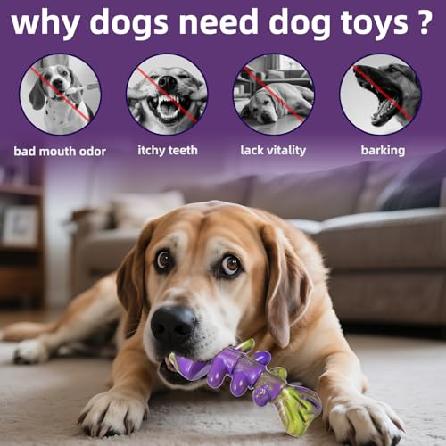 Dog Chew Toys for Aggressive Chewers：2 Pack Indestructible Dog Toy for Large, Medium Breed to Keep Them Busy Bacon and Beef Flavor - color: Beef Bone & Bacon—2PC