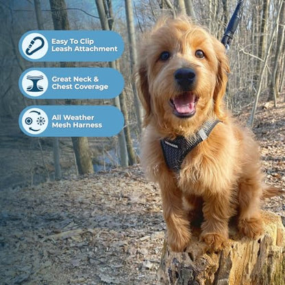 Best Pet Supplies Voyager Step-in Air All Weather Mesh Harness and Reflective Dog 5ft Leash Combo with Neoprene Handle, for Small, Medium and Large Breed Puppies - Set (Gray 2-Tone), X-Small