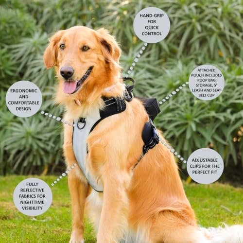 5-in-1 Reflective Dog Harness with Built-in 5ft Leash & Seatbelt Clip, Waste-Bag Pouch + 3 Rolls, Adjustable Quick-Fit Buckles, Breathable Mesh, Dual D-Rings, Large - size: Large