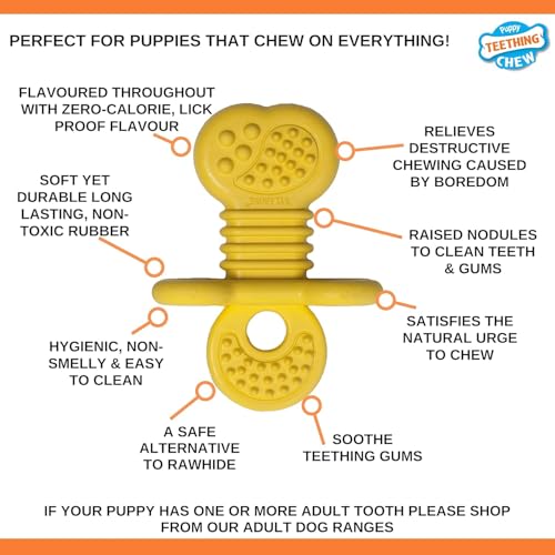 Nylabone Rubber Teether Puppy Chew Toy, Teething Toys for Puppies, Vanilla Flavor, Small - Up to 25 lbs, 1 Count - size: Small