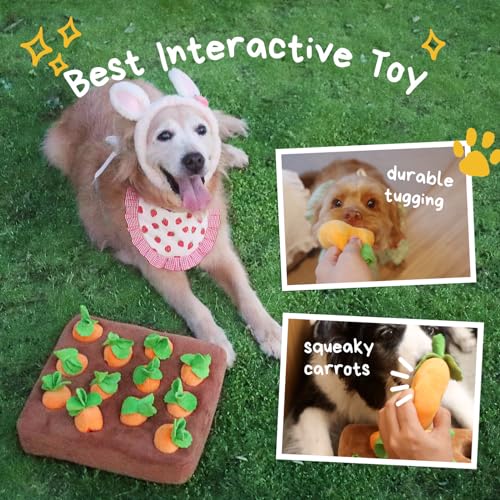 CECE PAW Dog Enrichment Puzzle, Interactive Squeaky Carrot Farm Snuffle Mat for Mental Stimulation and Puppy Brain Training, Small, Medium and Large Dogs (Upgraded Carrots with Treat Pockets) - color: Carrot Puzzle + Lick Mat, size: Dog