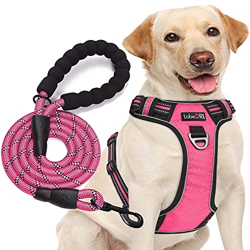 tobeDRI No Pull Dog Harness Adjustable Reflective Oxford Easy Control Medium Large Dog Harness with A Free Heavy Duty 5ft Dog Leash - color: Pink Harness+Leash, size: X-Large