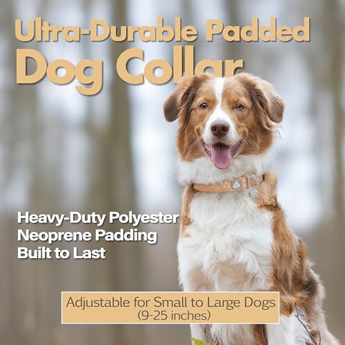 Fall Dog Collar, Cute Star Pattern Brown Collars for Girl & Boy, Reflective,Soft Padded Neoprene,Fully Adjustable,Durable & Lightweight Small Dog Collar, (Star, S) - color: Star, size: S (Neck 9''– 14'')