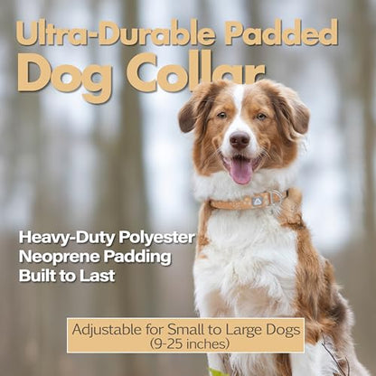 Fall Dog Collar, Cute Star Pattern Brown Collars for Girl & Boy, Reflective,Soft Padded Neoprene,Fully Adjustable,Durable & Lightweight Small Dog Collar, (Star, S) - color: Star, size: S (Neck 9''– 14'')