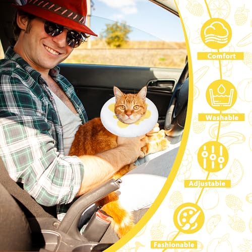 Cat Cone Collar Soft, Adjustable Cat Recovery Cone to Stop Licking, Cute Kitten Donut Collar After Surgery, Elizabethan Collars for Kittens, Lightweight Cats Neck Cones (Egg, Medium) - color: Egg, size: Medium