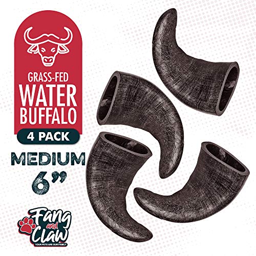 Water Buffalo Horn Dog Chew 4 Pack (Medium 6 Inch), Long-Lasting Natural Chews for Aggressive Chewers, Single-Ingredient, No Rawhide - style: 4 Horns - Medium 6"
