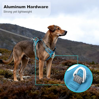 No Pull Dog Harness – Adjustable Reflective Nylon Vest for Small Medium Large Dogs, Escape Proof Training Harness with Leather Control Handle, Lightweight Aluminum Hardware (Cyan, XL) - color: Cyan, size: XL