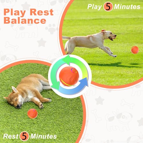 2026 T01 Interactive Dog Toys Dog Ball, Automatic Rolling and Bouncing Moving Dog Toy, Durable and USB Rechargeable, Fun Smart Toy for Puppy, Small, Medium and Large Dogs, Dog Toys to Keep Them Busy - color: Orange
