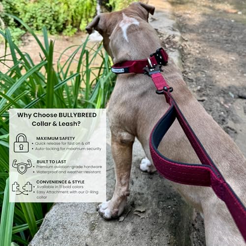 BULLYBREED | Heavy Duty Dog Leash, Tactical Dog Leash, Quick Release Frog Clip with Anti-Tangling Swivel System for Large Dogs that Pull with Soft Double Handles (5 FT Long, Maroon Red) - color: Maroon Red Double Handle