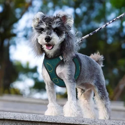 Double Padded Dog Harness Vest Set, Gold Glitter Watercolor Ink Splash Paint Teal Green Marble, Choke-Free Reflective Straps with Easy Neck Adjustment, Small Medium Pet Walking - color: Style (521), size: Small