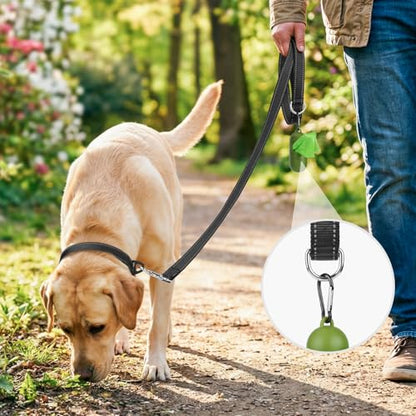 Joytale Dog Leash, 4 FT Double-Sided Reflective, Padded Handle Nylon Heavy Duty Leashes for Medium & Large Dogs Walking, Black - color: Black, size: 4 ft Standard