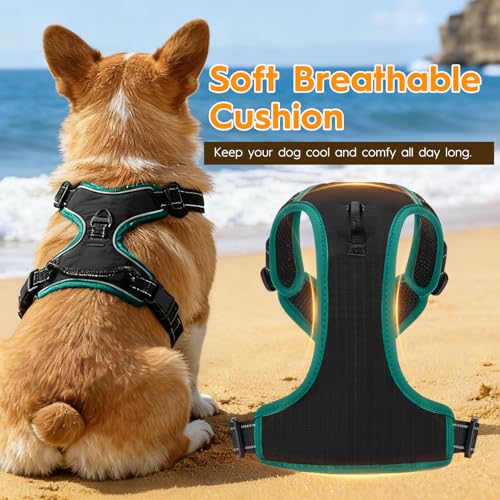 No Pull Dog Harness, No Chock Reflective Adjustable Soft Padded Pet Vest with Easy Control Handle, Easy Wearing with Stylish, Reinforced Knot, 2 Buckles - color: Black/Turquoise, size: X-Small
