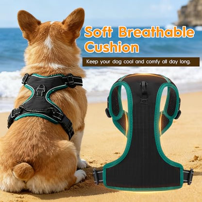 No Pull Dog Harness, No Chock Reflective Adjustable Soft Padded Pet Vest with Easy Control Handle, Easy Wearing with Stylish, Reinforced Knot, 2 Buckles - color: Black/Turquoise, size: Small