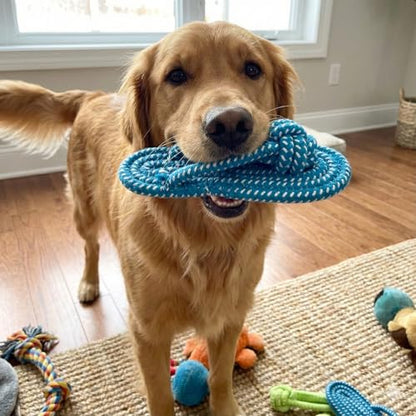 Dog Rope Toys 3 Pack, Flip Flop Shaped Cotton Rope Chew Toys for Small Medium Dogs, Interactive Tug Puppy Toys for Teeth Cleaning, Blue Orange Yellow - size: 3 slippers