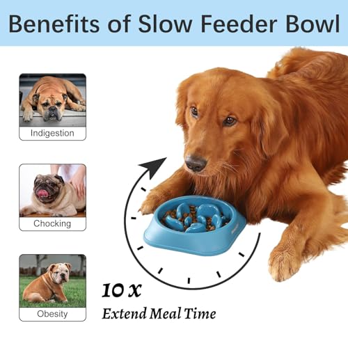 MateeyLife Slow Feeder Dog Bowls 2PCS, Anti-Choking Puzzle Dog Food Bowls, Anti-Slip Interactive Feeding Slow Down Eating, Bloat Stop Maze Dishes for Medium Large Breeds Purple&DarkBlue - color: C-Purple&DarkBlue, size: Medium