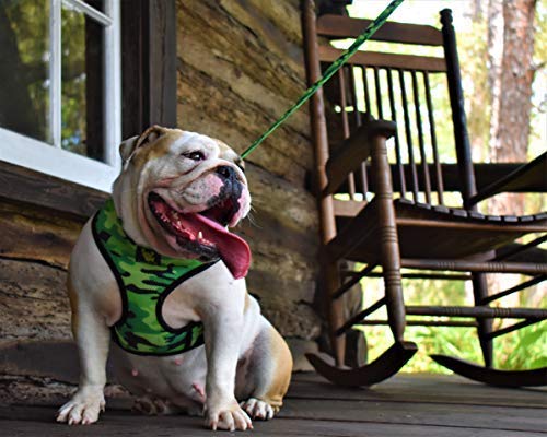 EcoBark Teacup Dog Leash - Soft & Reflective Toy Breed Leashes with Padded Handle - Strong & Durable - Training and Pulling for Tiny & Small Dogs (Camo) - color: Camo, size: 6 ft x 5/8 in - Thinnest Width