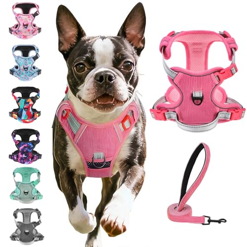 BEAUTYZOO No Pull Dog Harness Large, Adjustable Dog Harness and Leash Set -Easy Wearing with 3 Buckles/Control Handle,No Choke Soft Padded Reflective Pet Vest for Training Walking Hiking,Rose S - color: Solid Rose, size: S: chest 14"-24"