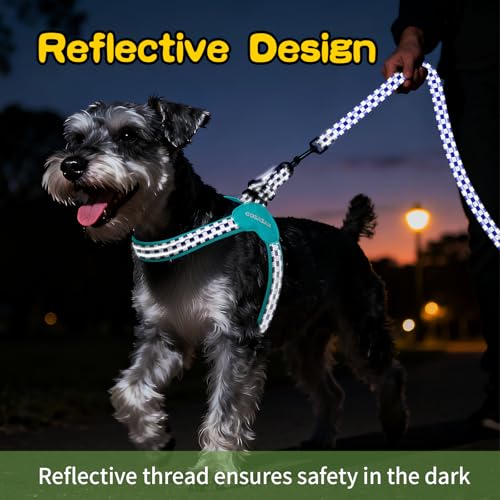 Kazazoo No Pull Small Dog Harness and Leash Set, Adjustable Puppy Soft Vest Harness with Breathable Mesh Padded, Reflective Lightweight Harness with Buckle for Extra Small Medium Dogs, Blue Plaid XS - color: Blue Plaid, size: XS