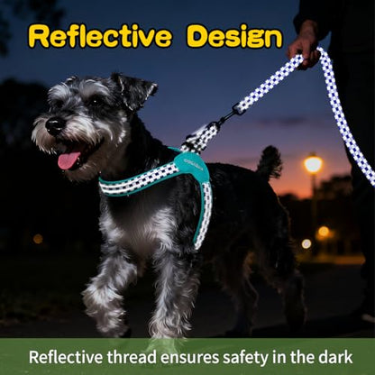 Kazazoo No Pull Small Dog Harness and Leash Set, Adjustable Puppy Soft Vest Harness with Breathable Mesh Padded, Reflective Lightweight Harness with Buckle for Small Medium Dogs, Blue Plaid M - color: Blue Plaid, size: M