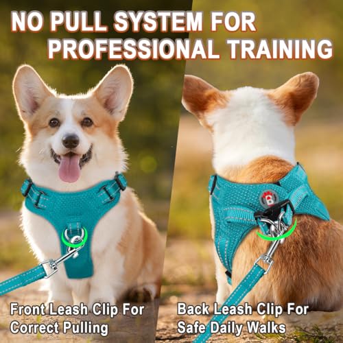 Dog Harness Step in Dog Vest Harness, Reflective Adjustable Puppy No Pull Harness Breathable Soft for Small and Medium Dogs Cats, Ocean Blue, XS - color: Ocean Blue, size: X-Small