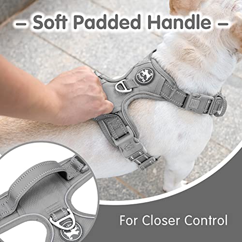 PoyPet No Pull Dog Harness and 5 Feet Leash Set, Release on Neck Reflective Adjustable Pet Vest, Front & Back 2 D-Ring and Soft Padded Pet Harness with Handle for Small to Large Dogs(Grey,S) - color: Grey, size: S