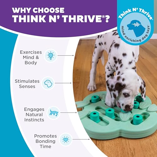 Outward Hound by Nina Ottosson Puppy Hide N' Slide Treat Puzzle Enrichment Dog Toy, Green - color: Puppy Hide-N-Slide (Green)