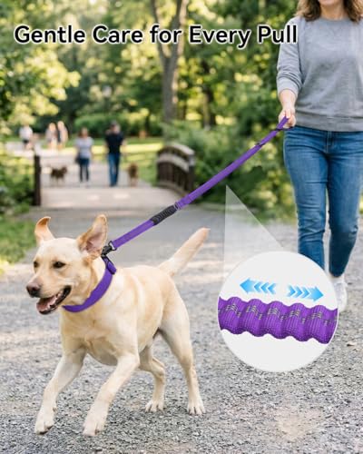 Joytale Tactical Dog Leash Heavy Duty, 4-6FT Shock Absorbing Bungee Lead with 2 Padded Handle, Metal Carabiner Clip, Car Seatbelt, Strong No Pull Leash for Medium Large X-Large Dogs, Purple - color: Purple