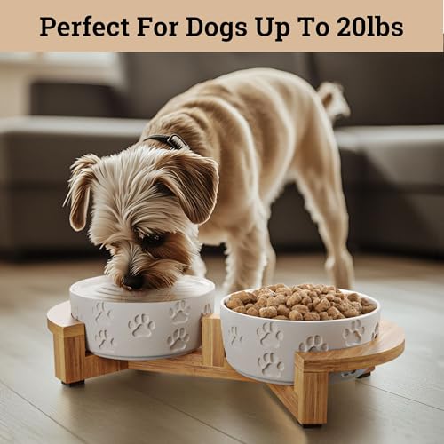 Ceramic Dog Bowls with Stand - Small Dog Bowl Set with Stand Non-Slip - 2 Ceramic Dishes with Anti-Skid Bamboo Stand for Small Dogs - Elevated Dog Bowls Set of 2 - Raised Pet Feeding Station - color: White with Stand, size: Small