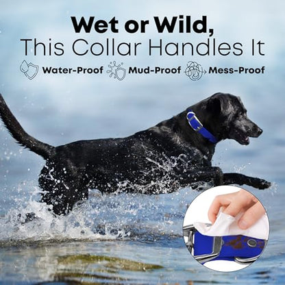 Regal Dog Products Medium Blue Waterproof Dog Collars with Custom Engraved Name Plate | Vinyl Coated, Anti, Easy to Clean Personalized Biothane Dog Collar - Other Sizes for Small & Large Dogs - color: Blue, size: Medium Collar