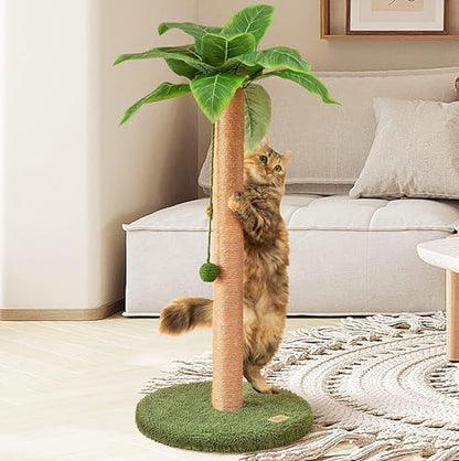 Meowoou Cat Scratching Post 33 Inch Tall Cat Scratcher for Indoor Cats Adults,Small Cat Tree Tower Sisal Rope Kitten Scratch with Interactive Hanging Ball - size: 33 in Green