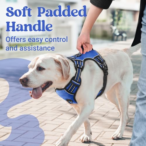 rabbitgoo Dog Harness for Large Dogs, No Pull Pet Harness with Soft Padded Handle, Adjustable Reflective Vest with 3 Buckles, Easy Walking Harness with 2 Leash Clips, Blue, L - color: Blue, size: Large