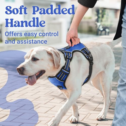 rabbitgoo Dog Harness for Large Dogs, No Pull Pet Harness with Soft Padded Handle, Adjustable Reflective Vest with 3 Buckles, Easy Walking Harness with 2 Leash Clips, Blue, M - color: Blue, size: Medium