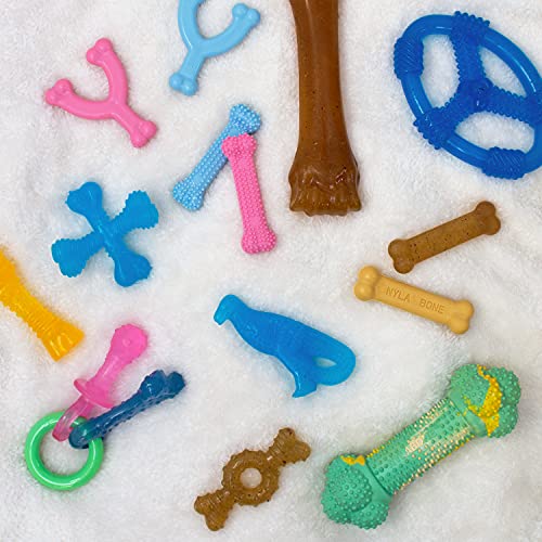 Nylabone Dental Dinosaur Puppy Power Chew Toy, Soothing Puppy Teething Bone, Enrichment Toy for Puppies, Chicken Flavor, Small Dogs - Up to 25 lbs., 1 Count - color: Dinosaur