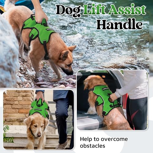 rabbitgoo Escape Proof Dog Harness, Soft Padded Full Body Pet Harness, Reflective Adjustable No Pull Vest with Lift Handle and Lesh Clip for Large Dogs Walking Hiking Training, M, Green - color: Green, size: Medium (Pack of 1)