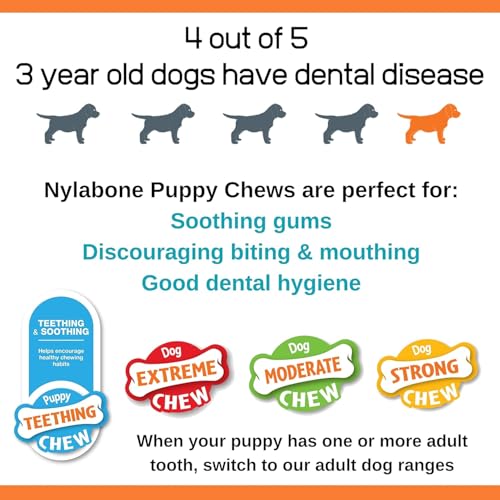 Nylabone Rubber Teether Puppy Chew Toy, Teething Toys for Puppies, Vanilla Flavor, Small - Up to 25 lbs, 1 Count - size: Small