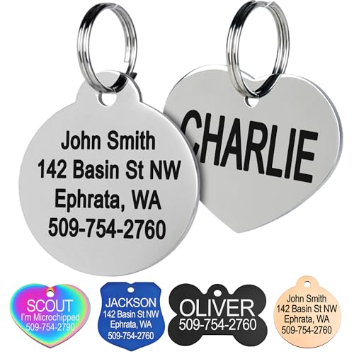 GoTags Stainless Steel Pet ID Tags, Personalized Dog Tags and Cat Tags, up to 8 Lines of Custom Text, Engraved on Both Sides, in Bone, Round, Heart, Bowtie and More (Round, Small (Pack of 1)) - size: Small (Pack of 1), style: Round
