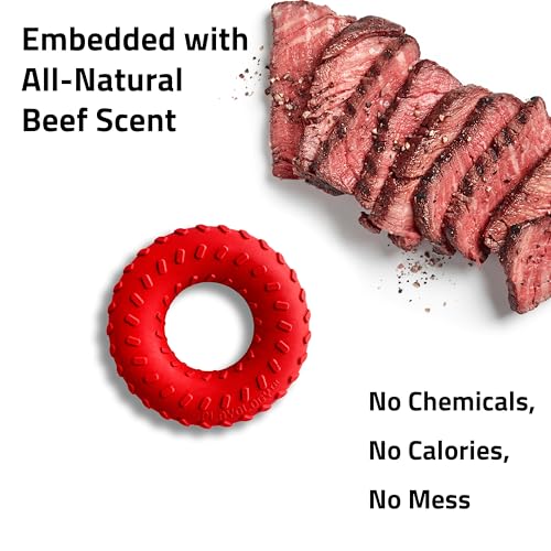 Playology Dog Toys | Dual Layer Ring Durable Dog Toy for Tough Chewers | Beef Scented Medium Chew Toy for Dogs - size: Medium, style: Beef