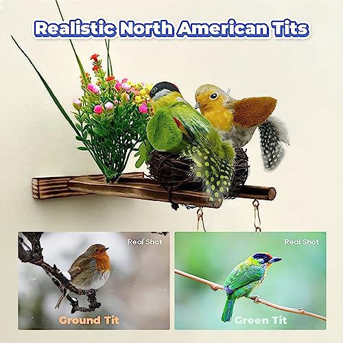 LEWISER Cat Toys Chirping Tit 2 Pcs with Catnip SilverVine, Suitable for Cat Wand Toys, Simulation Bird Design, Interactive Toys for Indoor Kitty Kitten Exercise, Green and Ground - color: Chirp Tit B