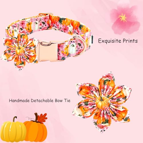Fall Dog Collar, Pink Flower Pumpkin Print Adjustable Pet Collar Cute Cotton Soft Collars with Flower Metal Buckle Holiday Puppy Collars Boy&Girl Gift for X-Small Dogs - color: B:Fall Pumpkin, size: X-Small (Pack of 1)